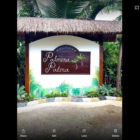 Palmera Palma Moalboal Exterior foto